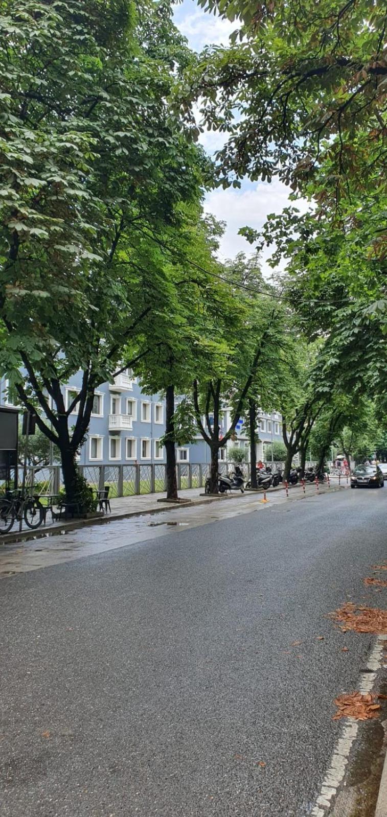 Alle's M Shyri Apartament Tirana