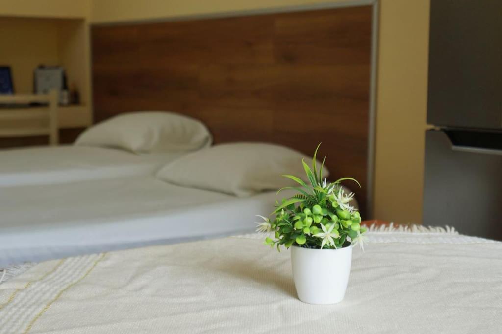 Alle's M Shyri Appartement *